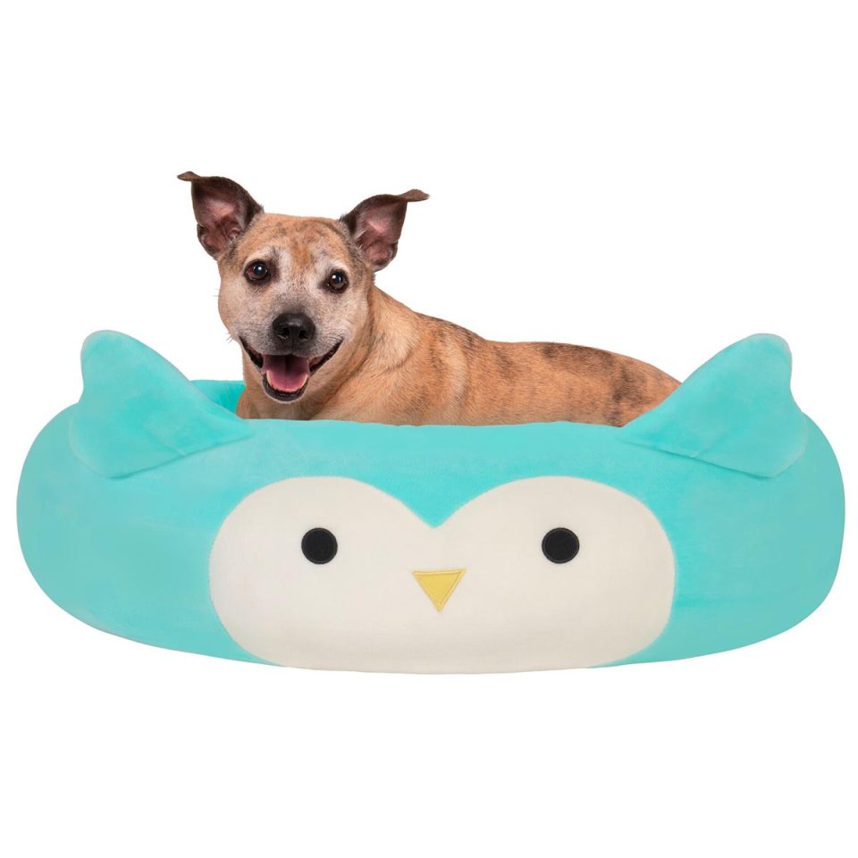 Squishmallows For Pets Winston the Owl Pet Bed